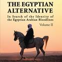 The Egyptian Alternative